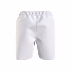 Tommy Hilfiger Men's Big & Tall 7  Logo Swim Trunks with Quick Dry  Br