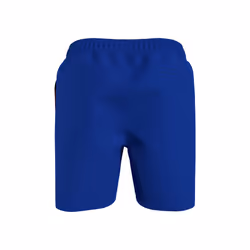 Tommy Hilfiger Men's Big & Tall 7  Logo Swim Trunks with Quick Dry  Ro