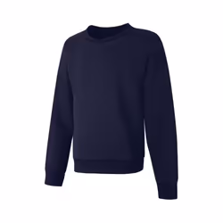 Hanes Girls' EcoSmart Fleece Sweatshirt  Navy  Large