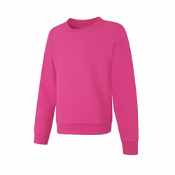 Hanes girls Ecosmart Graphic Sweatshirt Pullover Sweater Amaranth Large US