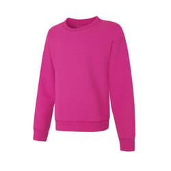 Hanes girls Ecosmart Graphic Sweatshirt Pullover Sweater  Amaranth  Large US