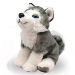 Wild Republic CK-Mini Husky