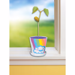 Creativity for Kids Magic Bean Garden