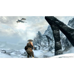 Bethesda The Elder Scrolls V : Skyrim Standard Spanish, French, Italian PlayStation 3