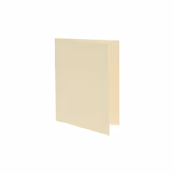 Cricut Joy Insert Cards 12-pack (Cream/Holo)