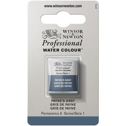 Winsor & Newton Professional Watercolor  Half Pan  Payne's Gray