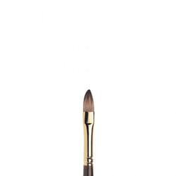Winsor & Newton 5505008 1 pc(s)