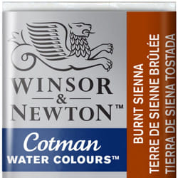 Winsor & Newton 0301074 water based paint Brown Sticks 1 pc(s)