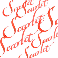 Winsor & Newton Calligraphy