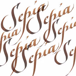 Winsor & Newton Calligraphy