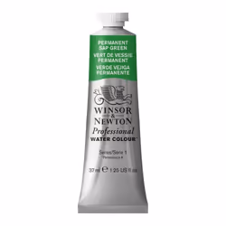 Winsor  Newton Professional Watercolor  37ml 125oz Tube  Permanent Sap Green