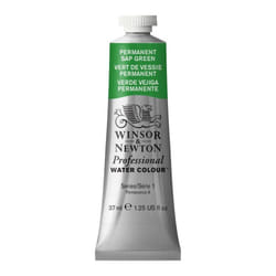 Winsor  Newton Professional Watercolor  37ml 125oz Tube  Permanent Sap Green