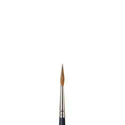 Winsor & Newton Professional Watercolour 1 pc(s)
