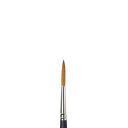 Winsor & Newton Professional Watercolour 1 pc(s)
