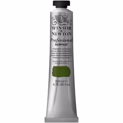 Winsor & Newton 200ml Professional Acrylic Colour Tube - Permanent Sap Green