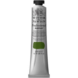Winsor & Newton 200ml Professional Acrylic Colour Tube - Permanent Sap Green