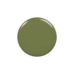 essie nail polish  ferris of them all collection  muted khakigreen nail color with a cream finish  win me over  046 fl oz