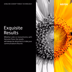Xerox Genuine ® VersaLink® C8000W Color Printer White Standard capacity Toner Cartridge (5000 Pages) - 106R04646 - Additional view 8