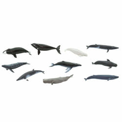 Safari Ltd Whales TOOB