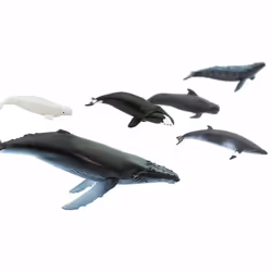 Safari Ltd Whales TOOB