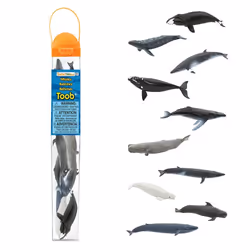 Safari Ltd Whales TOOB