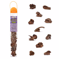 Safari Ltd Dinosaur Skulls TOOB, 3 yr(s), Dinosaur Skulls, Brown