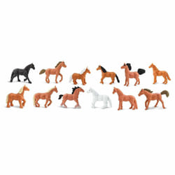 Safari Ltd Horses TOOB