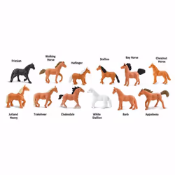 Safari Ltd Horses TOOB