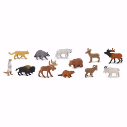 Safari Ltd North American Wildlife, 3 yr(s), North American Wildlife, Multicolour