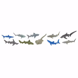 Safari Ltd Sharks TOOB, 3 yr(s), Sharks, Multicolour