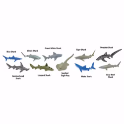 Safari Ltd Sharks TOOB