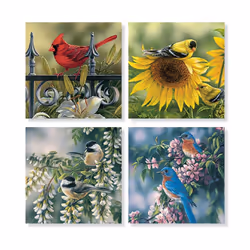 Set of 4 Mixed Birds Square Stone Coaster Set by Carson Home Accents