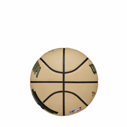 WILSON NBA Player Icon Mini Basketball - Giannis Antetokounmpo  Mini Size