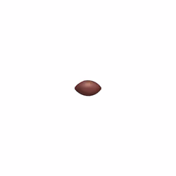 Wilson NFL Ignition Official American Football Ball Size Official - Additional view 4