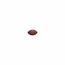 Wilson NFL Ignition Official American Football Ball Size Official - Additional view 5