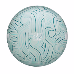 WILSON Shoreline Soft Gen Green Volleyball - Official Size  Light Blue