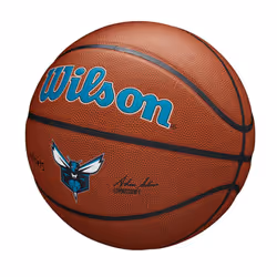 WILSON NBA Team Alliance Basketball - Charlotte Hornets  Size 7-29.5""""