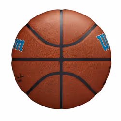 WILSON NBA Team Alliance Basketball - Charlotte Hornets  Size 7-29.5""""