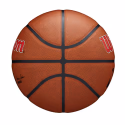 WILSON NBA Team Alliance Basketball - Toronto Raptors  Size 7-29.5""""