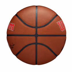 WILSON NBA Team Alliance Basketball - Washington Wizards  Size 7-29.5""""