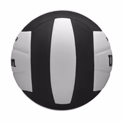 WILSON Pro Tour Indoor Volleyball - Black/White  Official Size