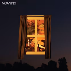 ImportCDs Moaning, Pop rock, Vinyl, Physical media, Adult, 1 discs, 02/03/2018