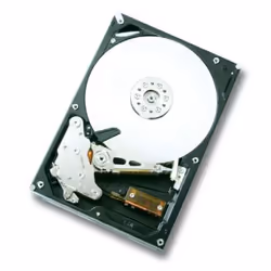 Western Digital Ultrastar A7K1000, 1 TB, 7200 RPM, 32 MB, 3.5", Serial ATA II