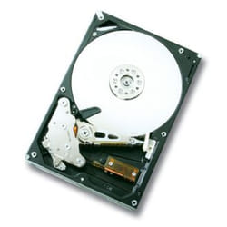 Western Digital Ultrastar A7K1000 internal hard drive 1 TB 7200 RPM 32 MB 3.5" Serial ATA II