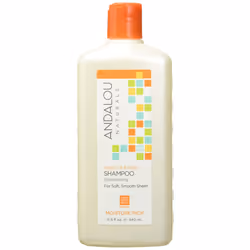 Andalou Naturals Argan Oil  Shea Moisture Rich Shampoo  Orange  115 Ounce