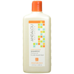 Andalou Naturals Argan Oil  Shea Moisture Rich Shampoo  Orange  115 Ounce