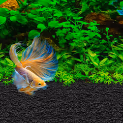Fluval Betta Stratum Aquarium Fish Tank Substrate 800 grams