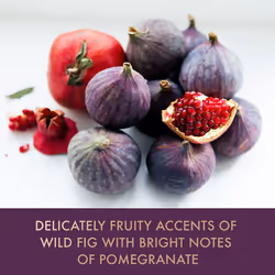 Baylis & Harding Limited Edition Wild Fig & Pomegranate Luxury Hand Care Gift Set - Vegan Friendly