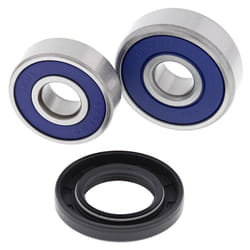 All Balls Racing Wheel Bearing Kit 25-1191 Compatible with/Replacement for Honda CR60 1983-1984  CR80 1982-1984  CR80R 1985  CRF100F 2004-2013  CRF110