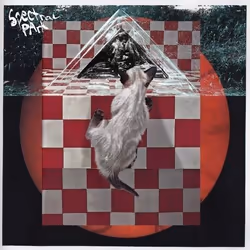 Alive AG Spectral Park (LP), Indie, Vinyl, Spectral Park, Essential Sales and Marketing Ltd. / Mexican Summer, Slip sleeve pa ...